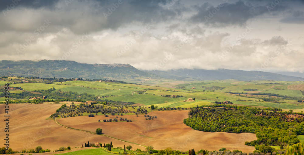 Fototapeta premium Tuscan landscape