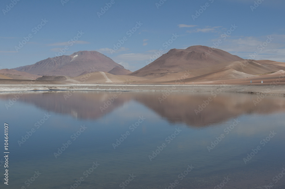 Lago salado en el desierto de Atacama. Salar de Tara en la Cordillera de los Andes, Chile