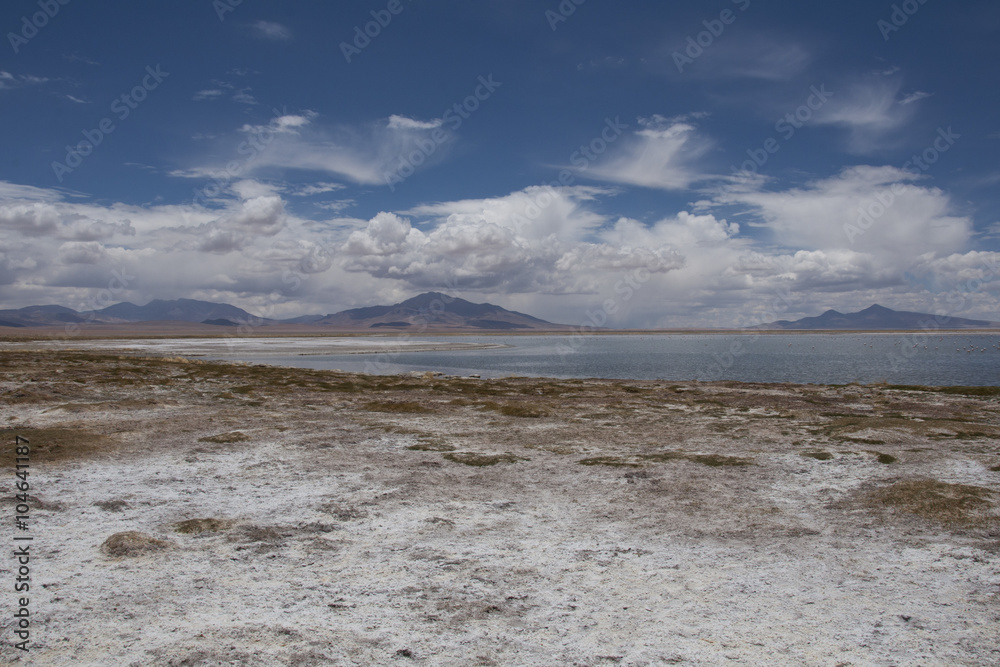 Lago salado en el desierto de Atacama. Salar de Tara en la Cordillera de los Andes, Chile Lago salado en el desierto de Atacama. Salar de Tara en la Cordillera de los Andes, Chile