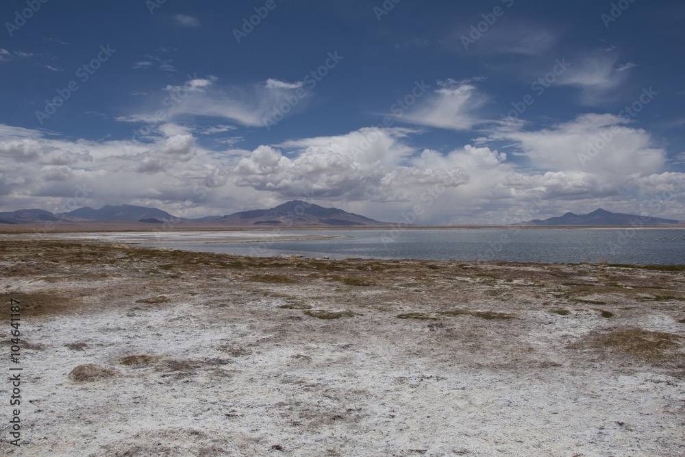 Lago salado en el desierto de Atacama. Salar de Tara en la Cordillera de los Andes, Chile