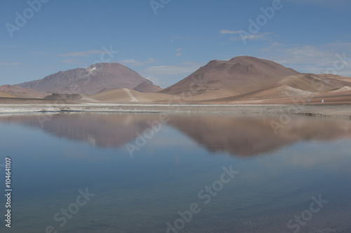 Fototapeta Naklejka Na Ścianę i Meble -  Lago salado en el desierto de Atacama. Salar de Tara en la Cordillera de los Andes, Chile