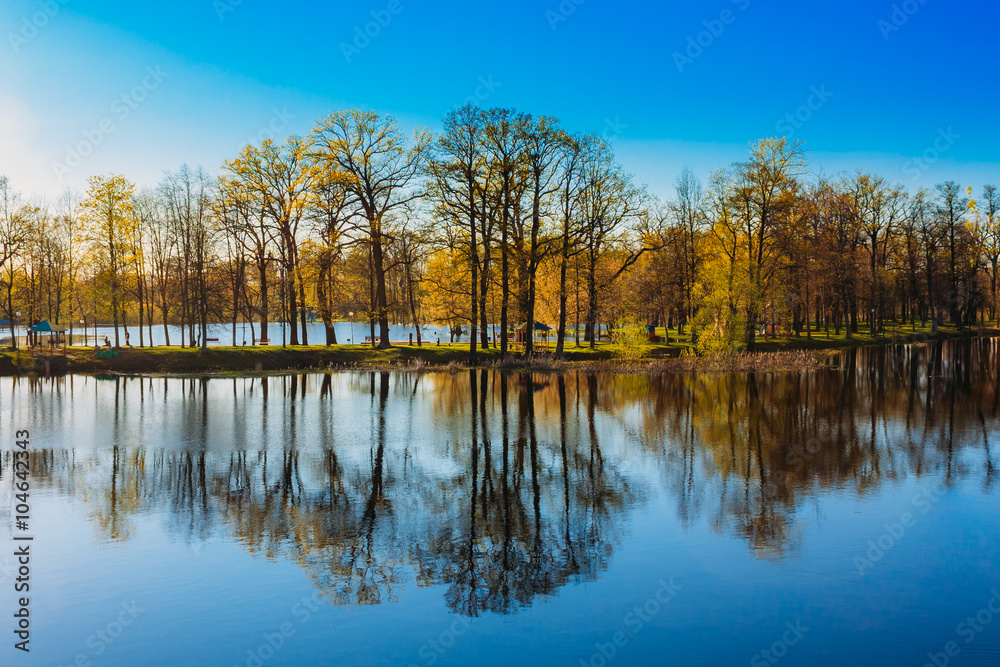 Trees Standing In Water During A Spring Flood