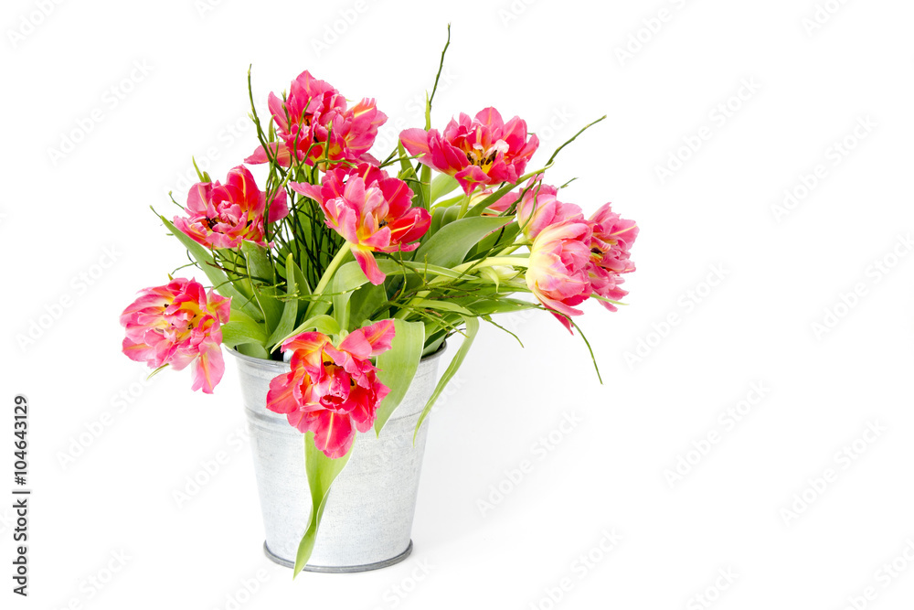 red tulips in a bucket