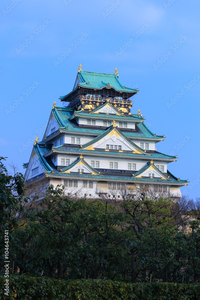 Fototapeta premium 大阪城