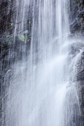 chute d eau  Anse des Cascades    le de la R  union 