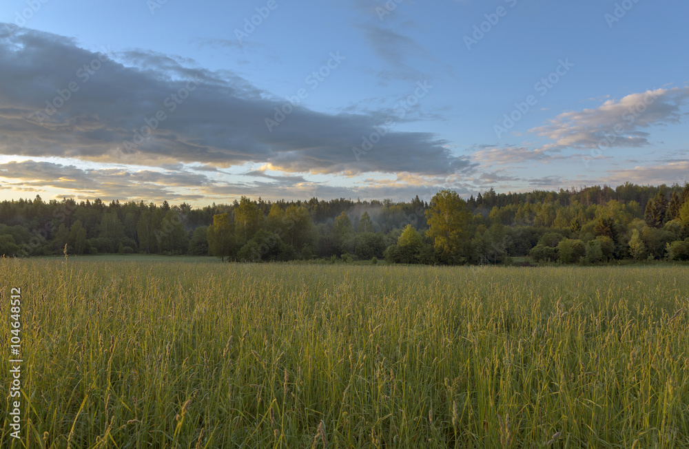 Obraz premium Summer morning