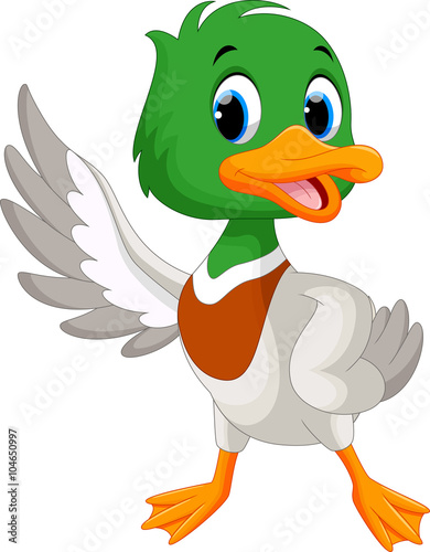 Cute baby duck waving its wings 