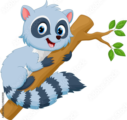 Cute raccoon cartoon