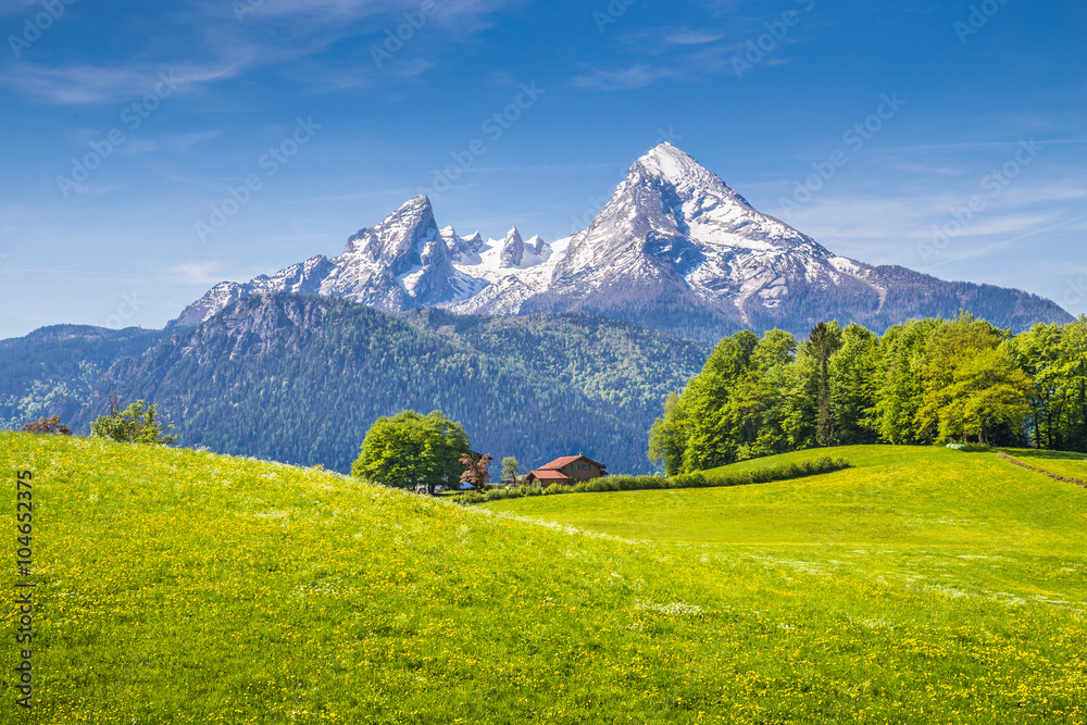 Idyllic landscape in the Alps with green meadows and mountain tops