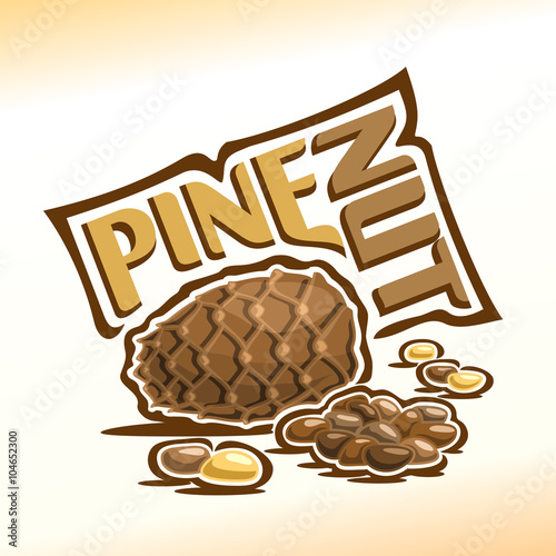 Vector illustration on the theme of the logo for pine nuts, consisting of a cedar cone, peeled nuts kernel and nutlets in the nutshell