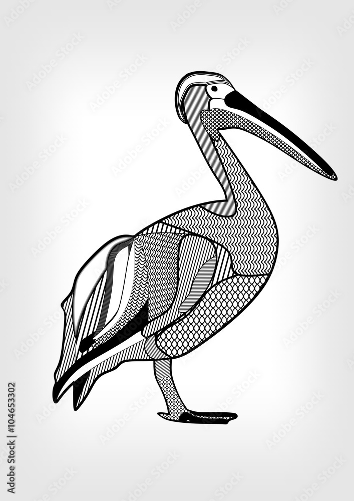 Pelican, black and white drawing of water bird with hatched and patterned body  parts. Isolated animal on gray gradient background. Template for tattoo,  emblem, zoo, club, Stock Vector | Adobe Stock