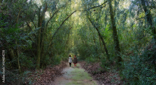 Paseo en el bosque