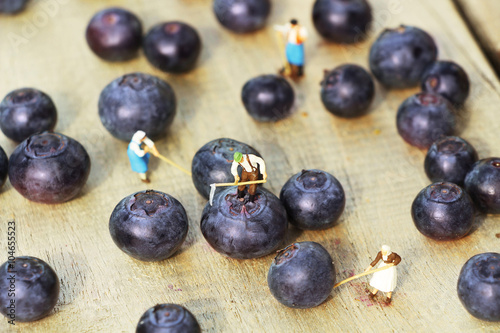 Miniature farmers harvesting berries