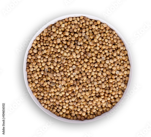 Top view of Organic Dried coriander seeds (Coriandrum sativum) i
