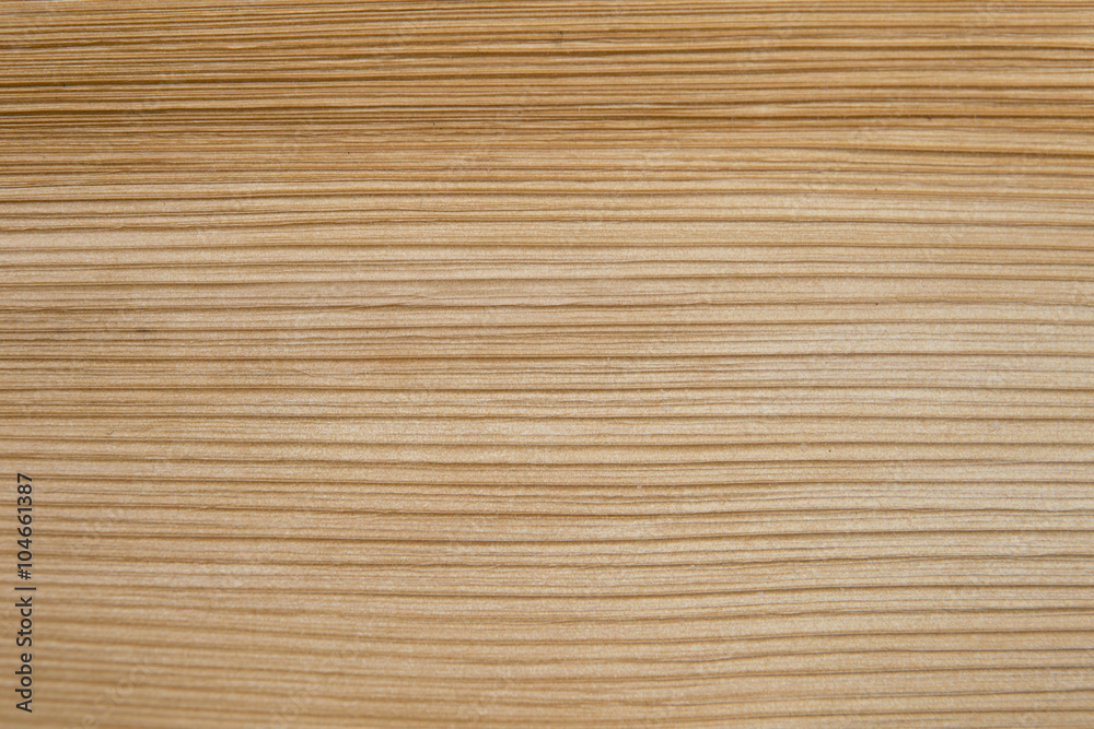 Natural texture of palm leaf background Natural texture of palm leaf background