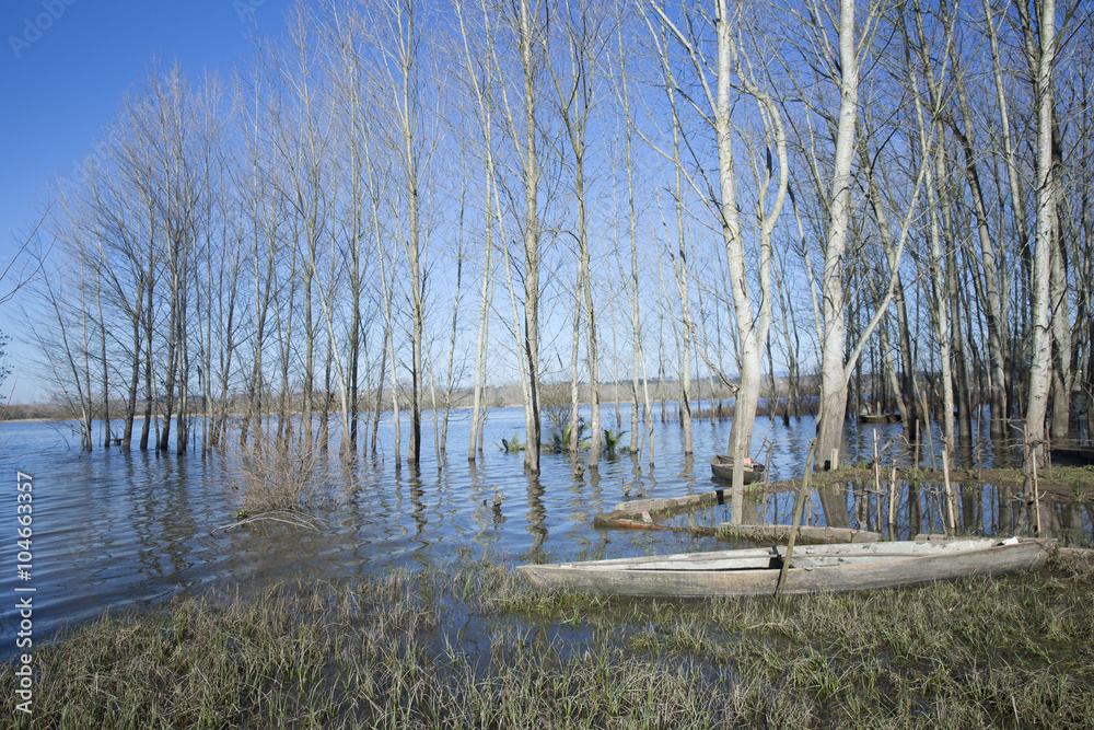 Park of Vagos,Europa,Portugal.

