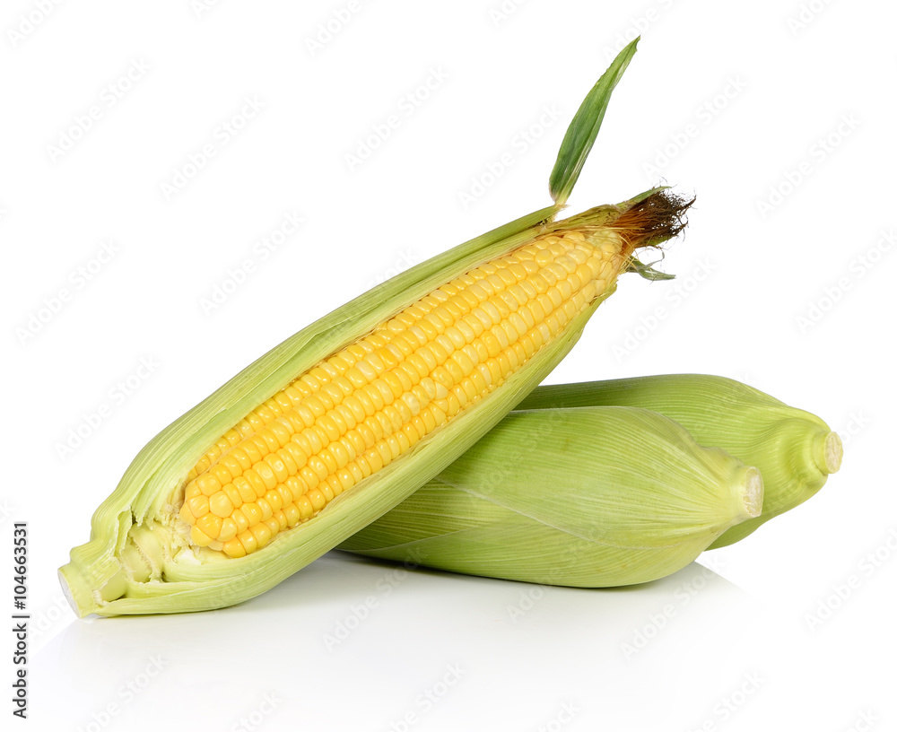 Corn on white background Corn on white background