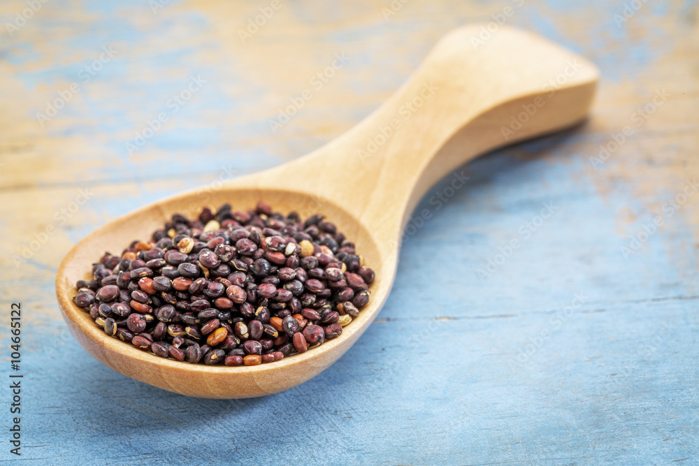 quinoa grain on wooden spoon quinoa grain on wooden spoon