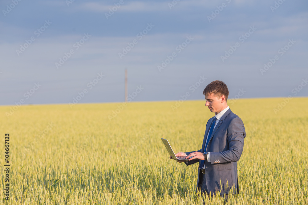 Businessman on a wheat field using a laptop Businessman on a wheat field using a laptop
