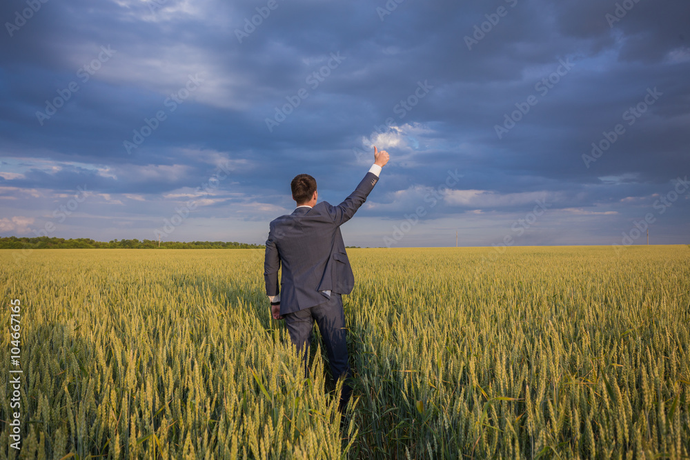 happy farmer, businessman, standing in wheat field over wind turbines background with his hands up and thumbs up happy farmer, businessman, standing in wheat field over wind turbines background with his hands up and thumbs up