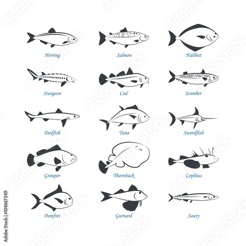 Seafood icons. Fish icons