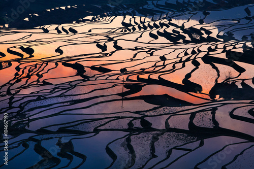 Fotografie Colorful rice field terrace in China from aerial view