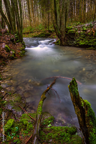 Fototapeta Naklejka Na Ścianę i Meble -  Wasser im Wald