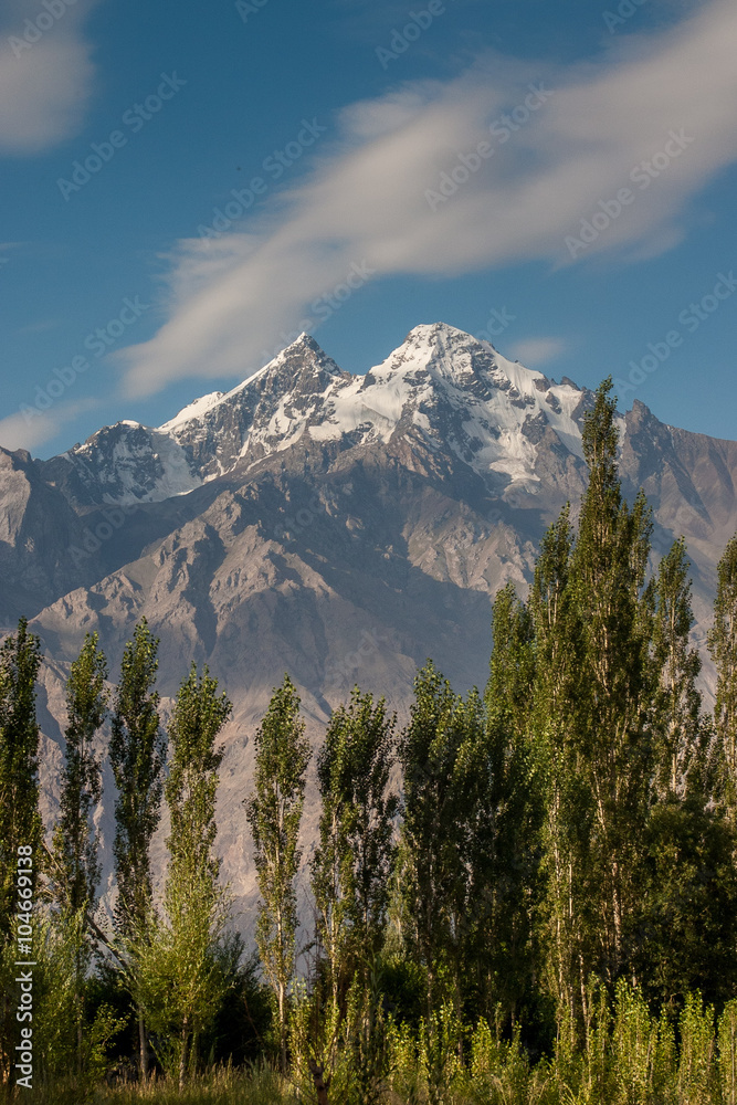 Scenic view in nubra valley