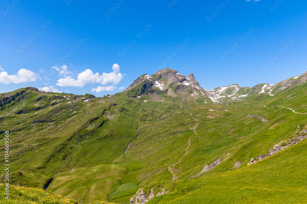 Panorama view of the Alps at Grindelwald First