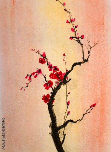 blooming branch of cherry