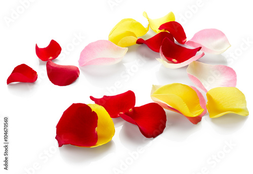 Rose petals
