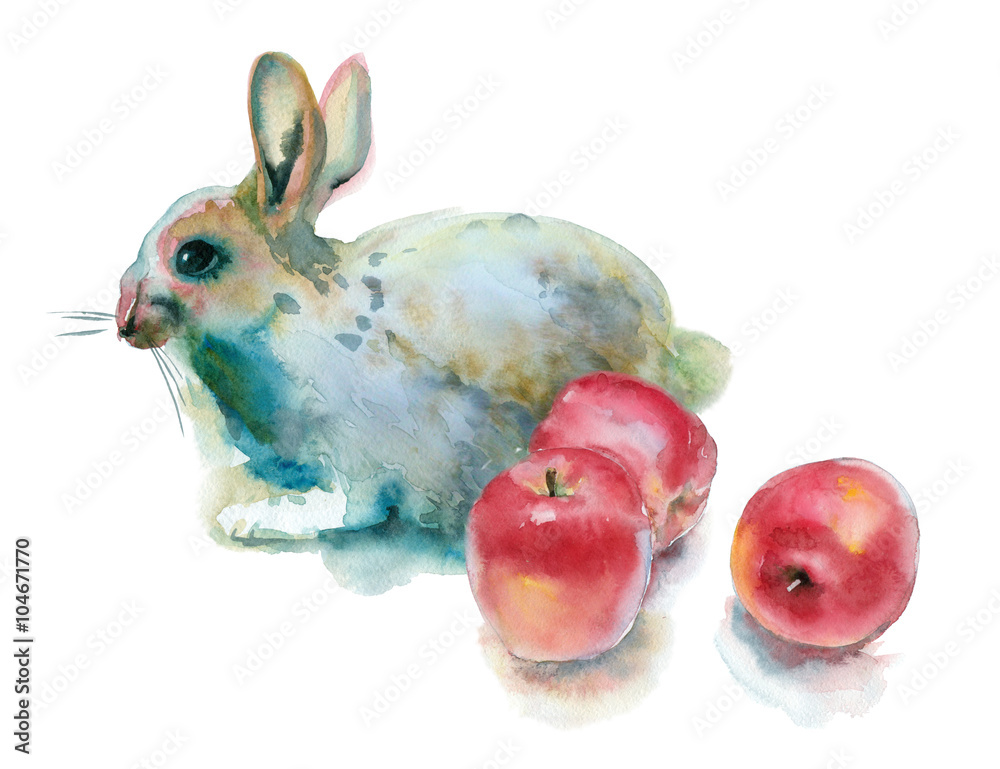Fototapeta premium Watercolor painting. Rabbit with apples on a white background.