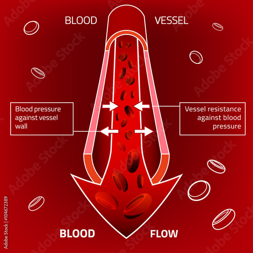 Blood Vector Image
