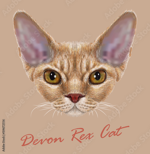 Vector Illustrative Portrait of Devon Rex Cat © ant_art19