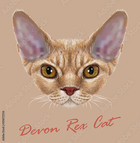 Vector Illustrative Portrait of Devon Rex Cat