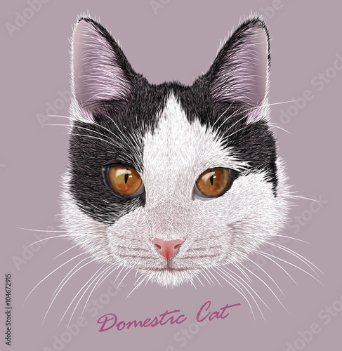 Vector Illustrative Portrait of Young Domestic Cat