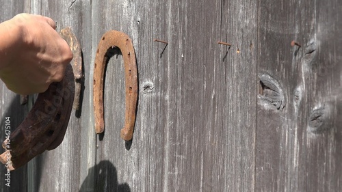 female hand unhang the old vintage horseshoes from wooden wall outdoor. 4K UHD video clip.  
 photo