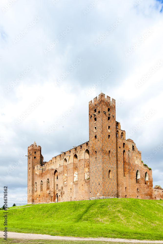 ruins of castle in Radzyn Chelminski, Kuyavia-Pomerania, Poland