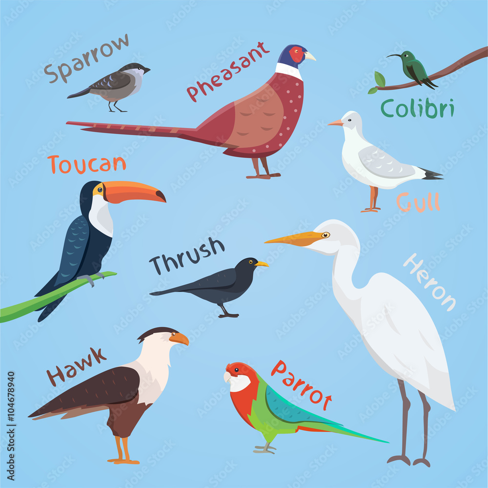 Obraz premium Bird set cartoon colorful vector illustration. eps 10.