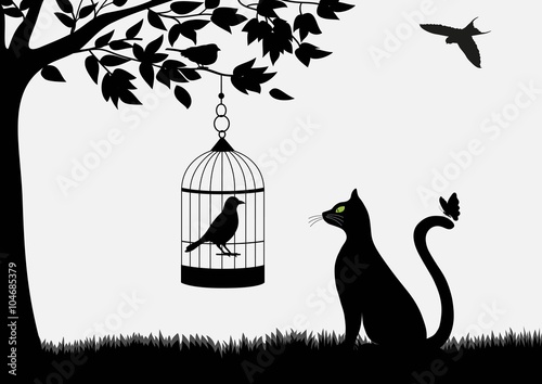 Cute cat and birds