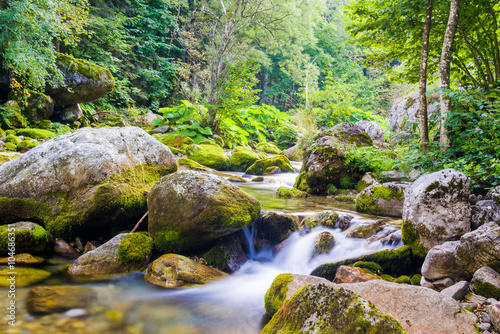 Creek in the Ligurian Alps