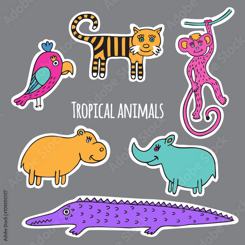 Set tropical animals