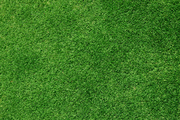 real green grass background