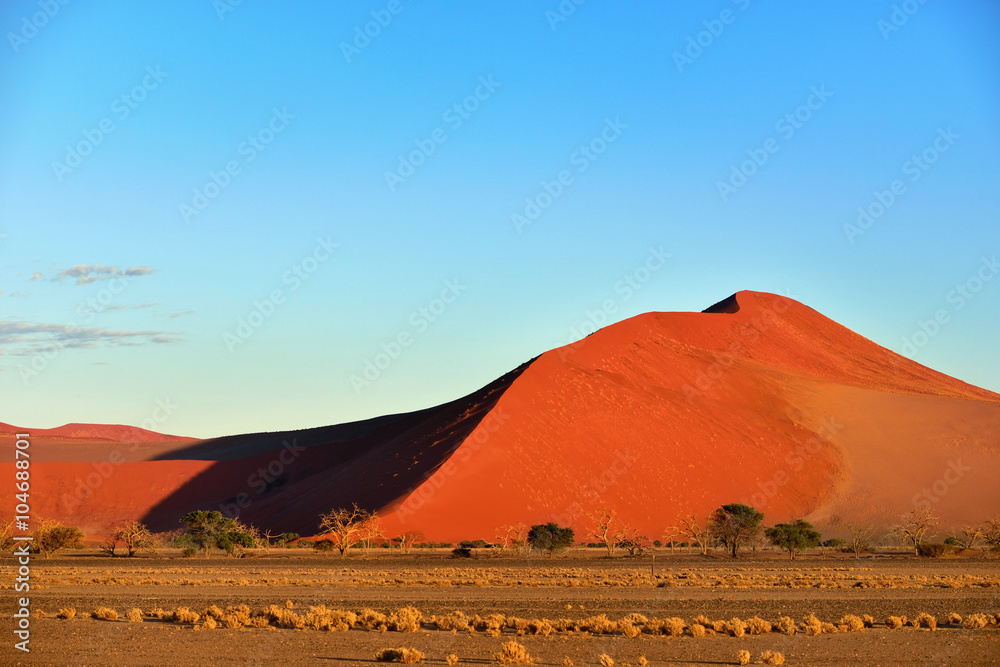 Sossusvlei, Namib Naukluft National Park, Namibia Sossusvlei, Namib Naukluft National Park, Namibia