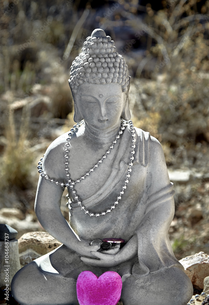 Fotografija Meditating Buddha na Europosterji.si