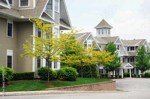 apartment building with spring tree