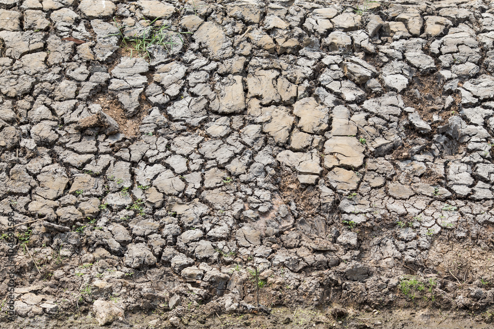 Cracked earth for background and texture Cracked earth for background and texture