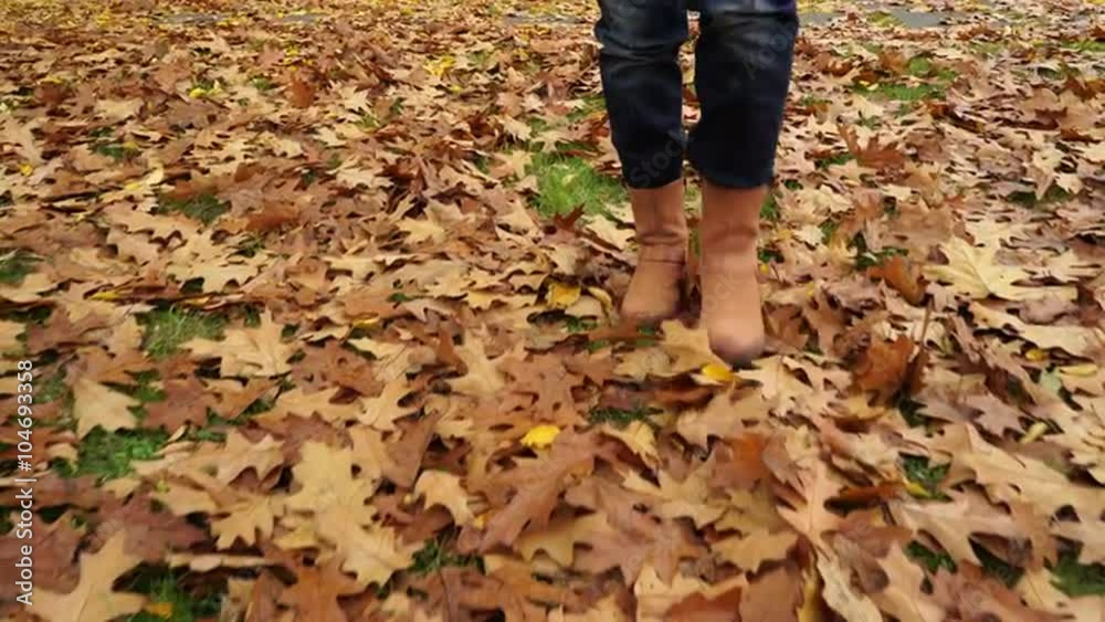 Woman walking on autumn fall grass steadicam 4K. Woman walking on autumn fall grass steadicam 4K.