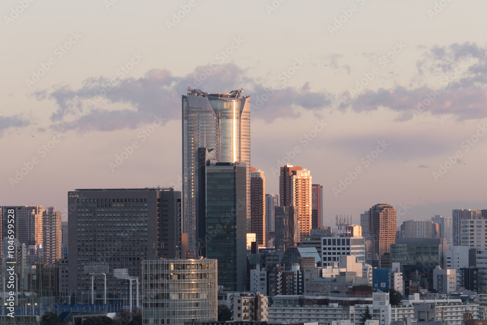 Obraz premium 東京都市風景 マジックアワー 夕焼け 青山 六本木 夕景 夕日 コピースペース