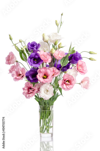 bunch of violet  white and pink eustoma flowers in glass vase is